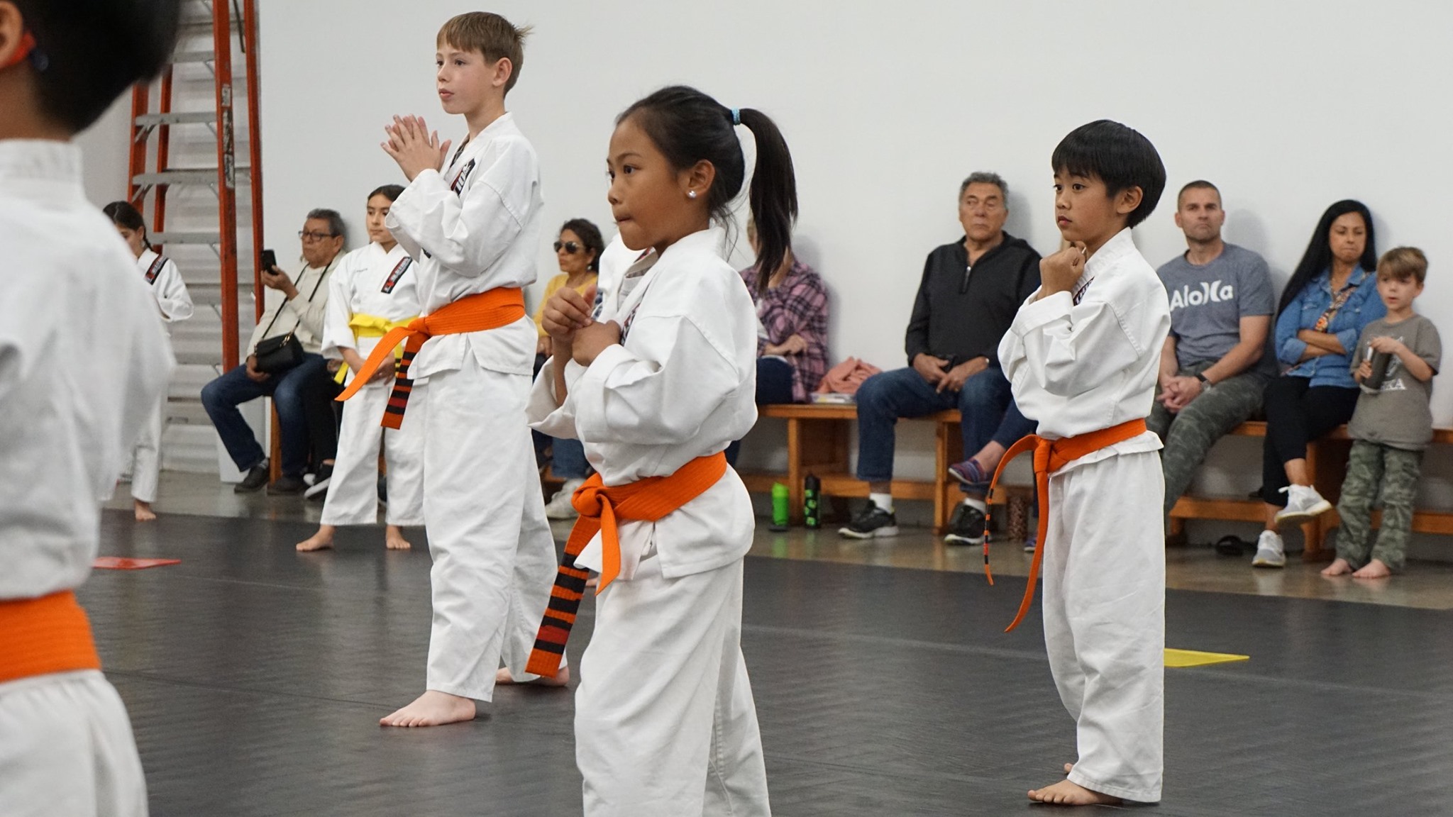 Juniors Hapkido
