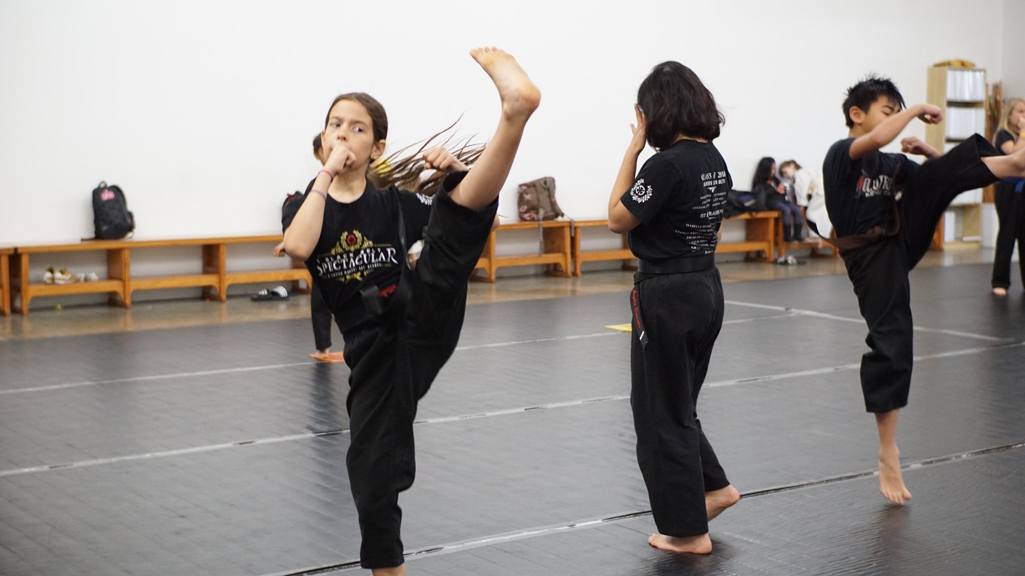 Juniors Hapkido technique