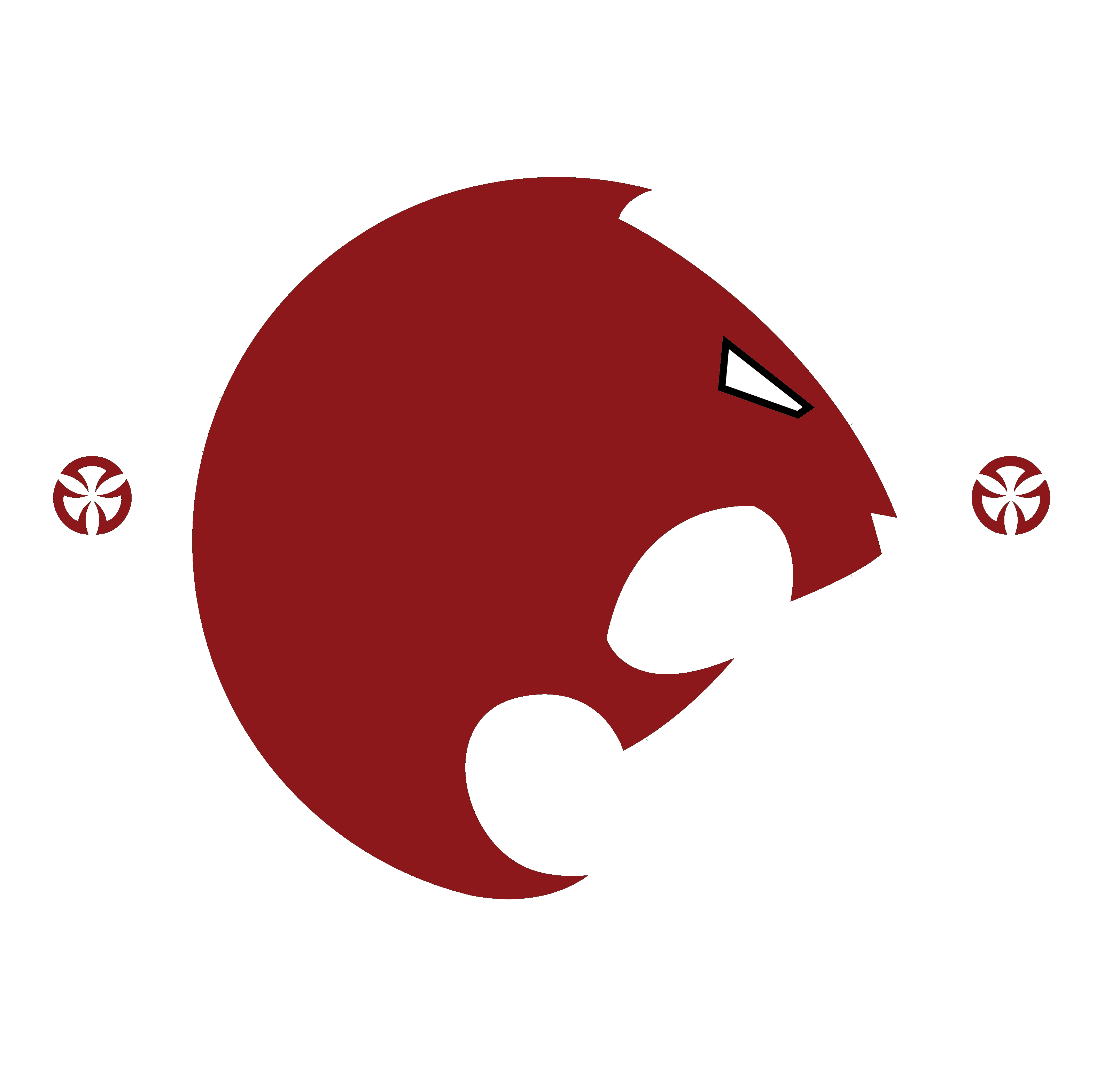 Renzo Gracie Evolution